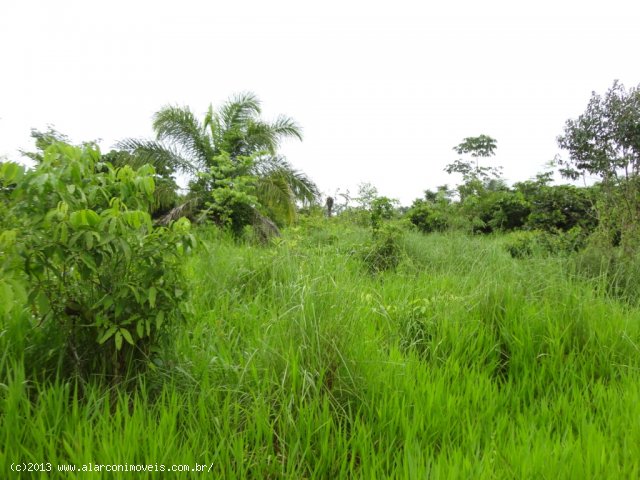 Venda SITIO Alta Floresta D´Oeste - RO Venda SITIO Alta Floresta D´Oeste - RO