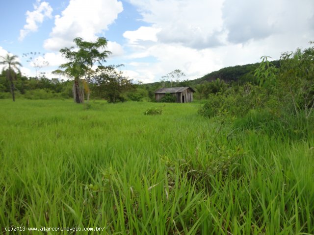 Venda SITIO Alta Floresta D´Oeste - RO