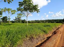 Venda CHÁCARAS Alta Floresta D´Oeste - RO